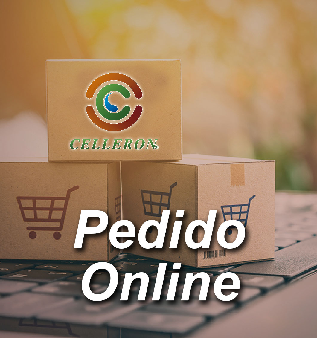 Pedido online